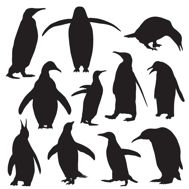 silueta de pinguino