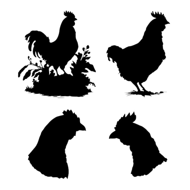 Vector silueta, de, pollo, vector, gallina, negro, silueta, vector, conjunto