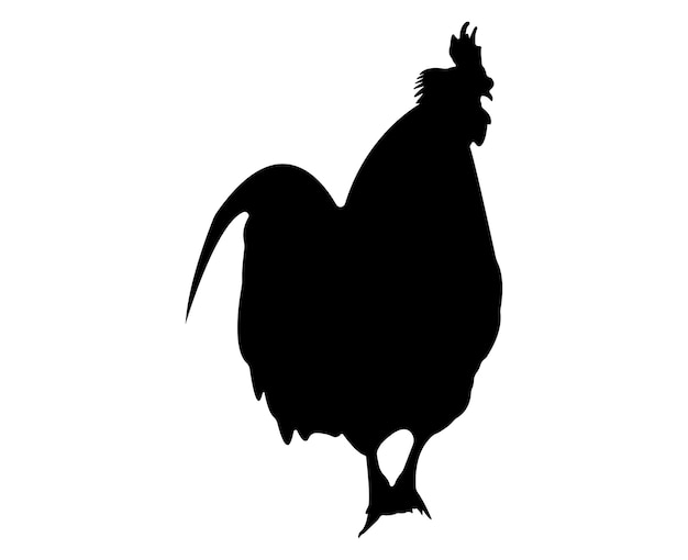 Silueta de pollo vectorial aislada sobre fondo blanco