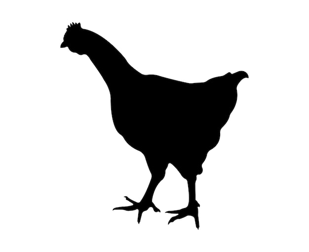 Silueta de pollo vectorial aislada sobre fondo blanco