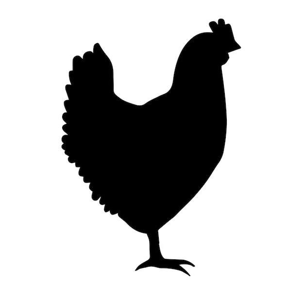 Silueta de pollo vectorial