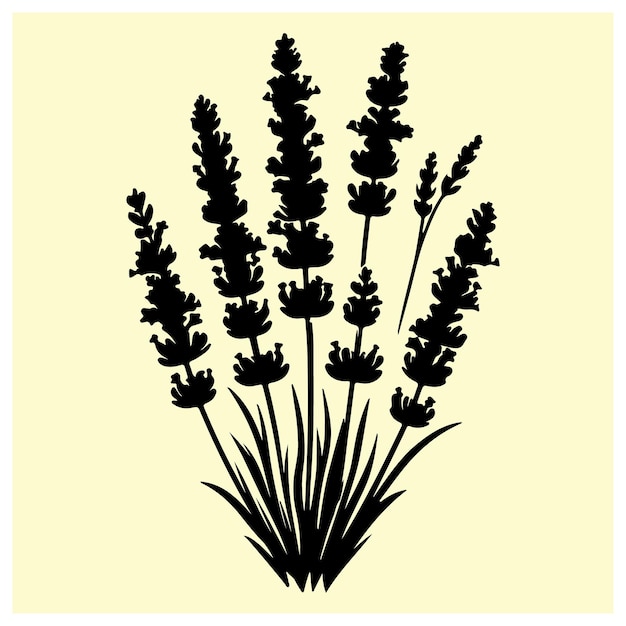 La silueta de un racimo de lavanda