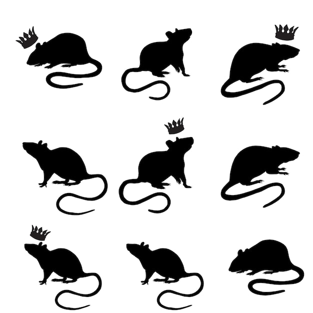 Silueta, de, un, ratas, negro, clipart