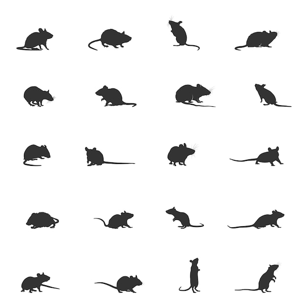 Silueta de ratón ratón rata ratones silueta ratón svg ratón vector art