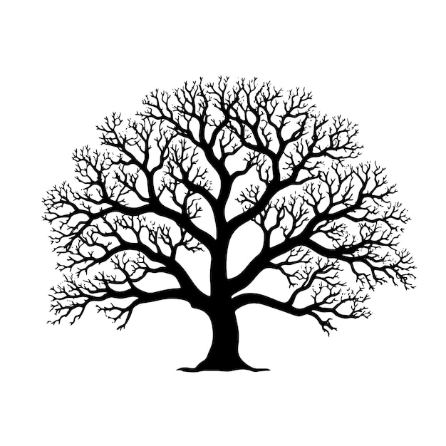 Silueta de roble de alta calidad