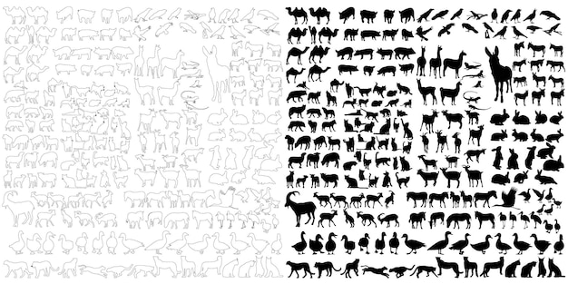 silueta, de, salvaje, y, doméstico, animales, conjunto