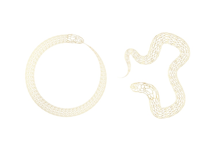Vector silueta de serpiente dorada símbolo de contorno vectorial 2025 aislado en fondo blanco