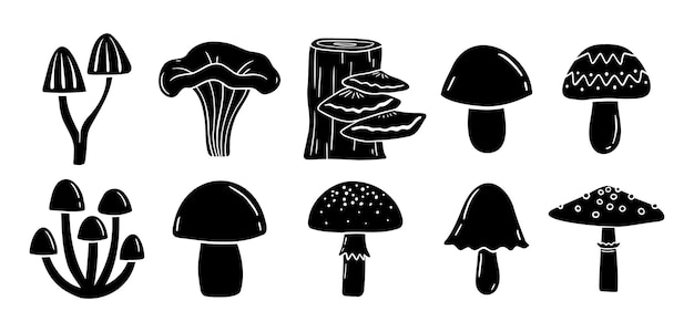 Silueta de setas monocromática con dibujos y ilustraciones de setas de setas creativas y fabulosas