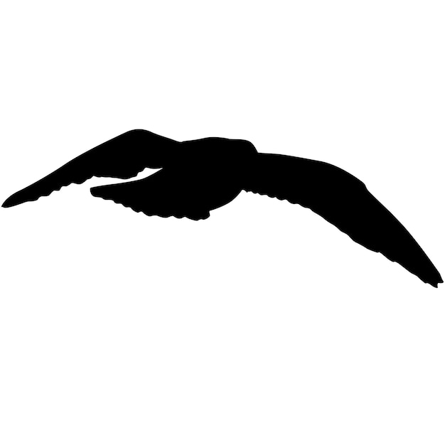 Silueta sobre un fondo blanco de una gaviota