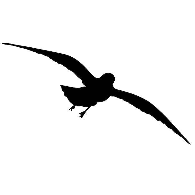 Vector silueta sobre un fondo blanco de una gaviota