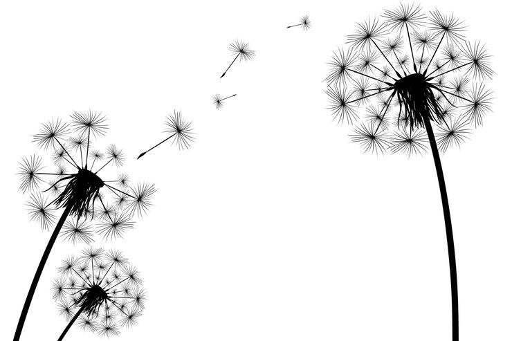Vector silueta de un solo diente de león simple
