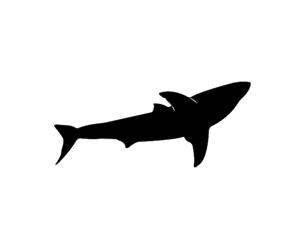 Silueta de tiburón blanco vectorial aislada sobre fondo blanco