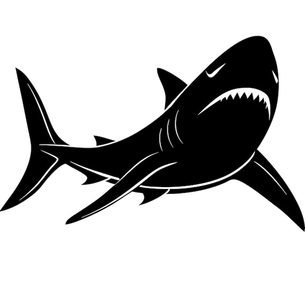 Silueta de tiburón con dientes en fondo blanco vector 27