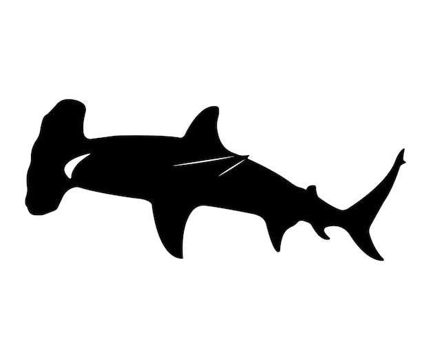 Silueta de tiburón martillo plano vectorial aislada sobre fondo blanco