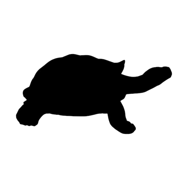 Vector silueta de tortuga conjunto colección aislado negro sobre fondo blanco ilustración vectorial