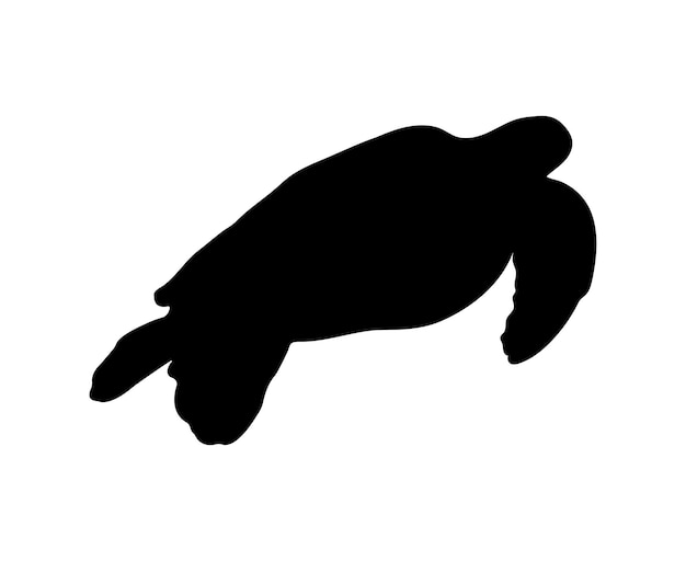 Silueta de tortuga plana vectorial aislada sobre fondo blanco