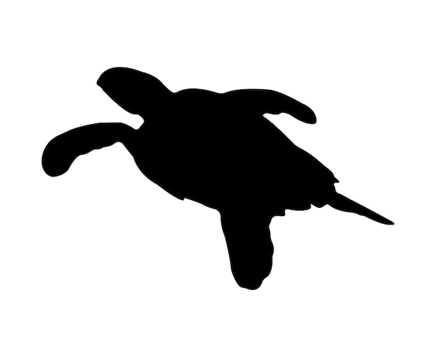 Silueta de tortuga plana vectorial aislada sobre fondo blanco