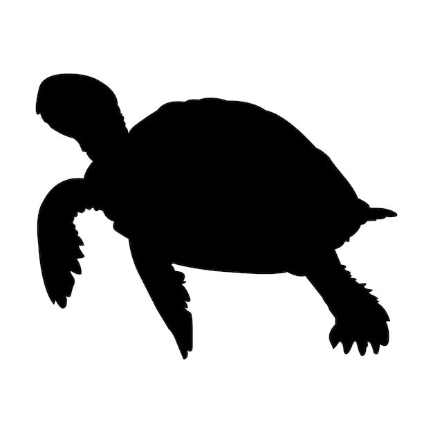 Vector una silueta de tortuga sobre un fondo blanco