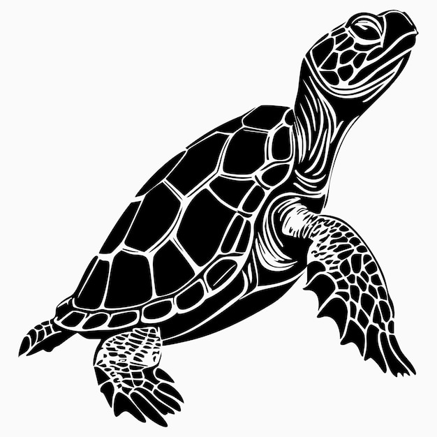Silueta de las tortugas