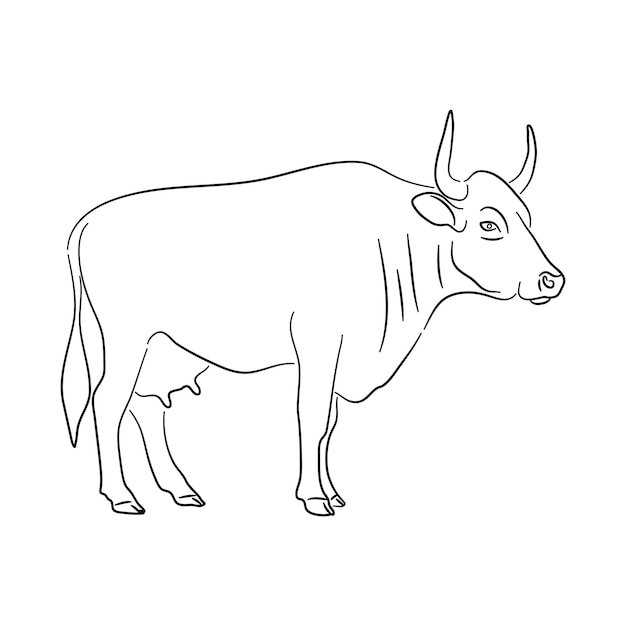 silueta, de, un, vaca, hecho, en, bosquejo, estilo, vector, ilustración
