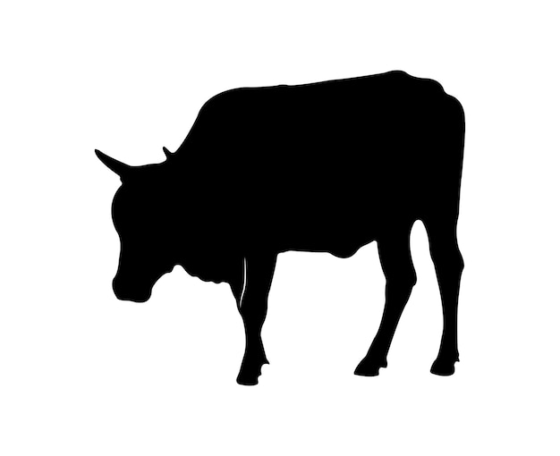 Silueta de vaca vectorial aislada sobre fondo blanco