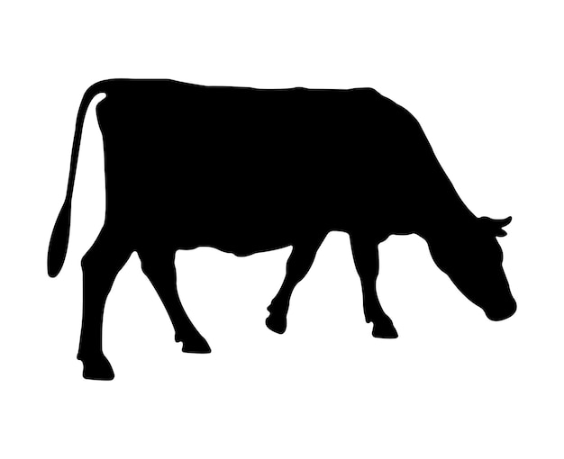 Vector silueta de vaca vectorial aislada sobre fondo blanco