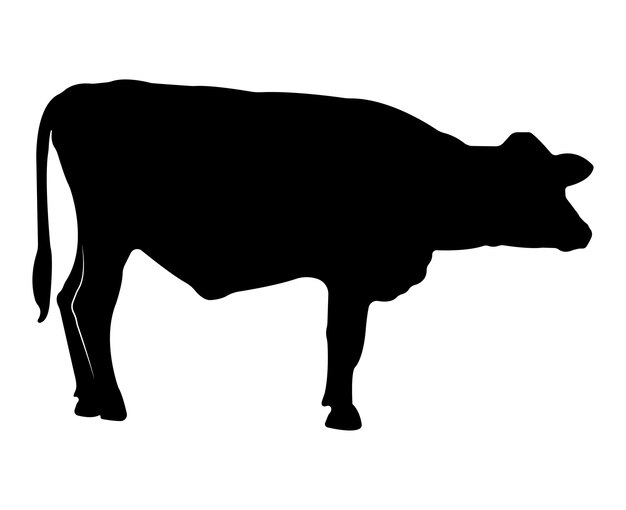 Silueta de vaca vectorial aislada sobre fondo blanco