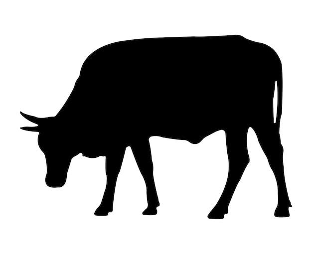 Vector silueta de vaca vectorial aislada sobre fondo blanco