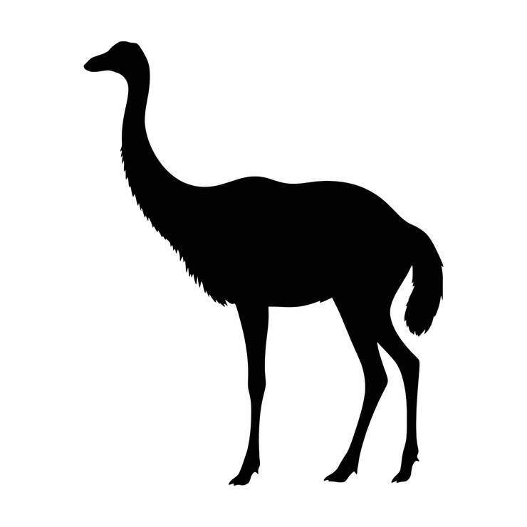 Vector silueta del vector animal del guanaco fondo blanco aislado