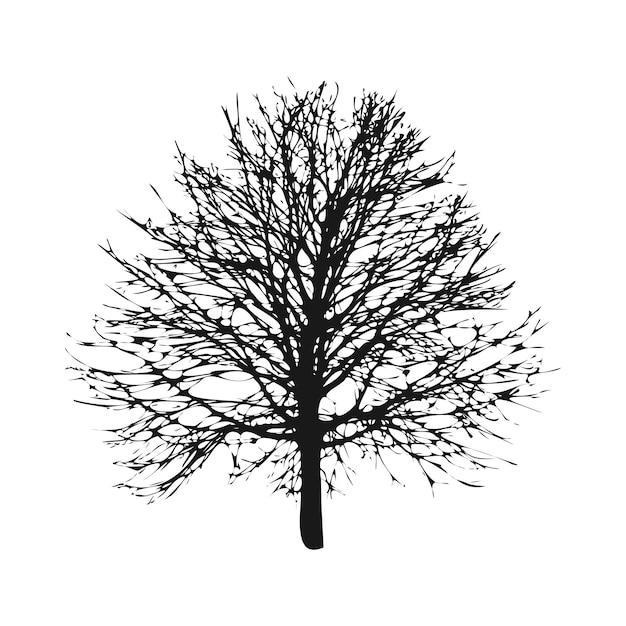 Silueta de vector de árbol isoleted sobre fondo blanco