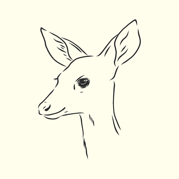 Silueta de vector de ciervos jóvenes. cervatillo, dibujo vectorial ilustración