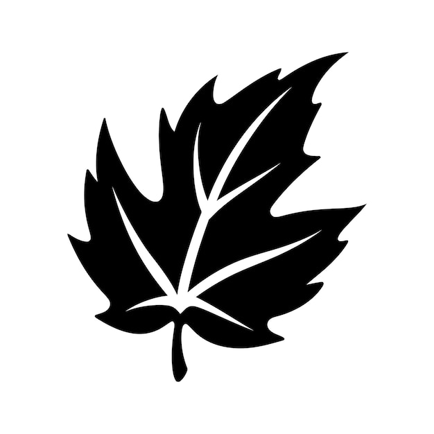 Silueta De Vector De Decoración Otoño Elegante