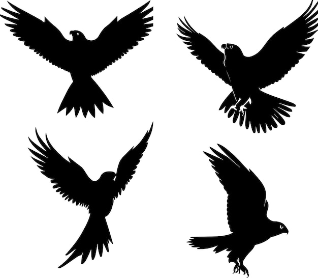 Silueta de vector de pájaro volador 1