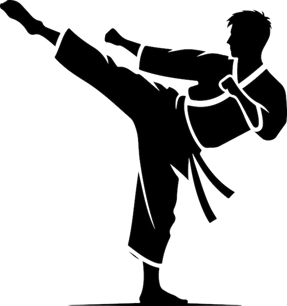 Vector silueta de vector de patada de karate mínima silueta de color negro 33