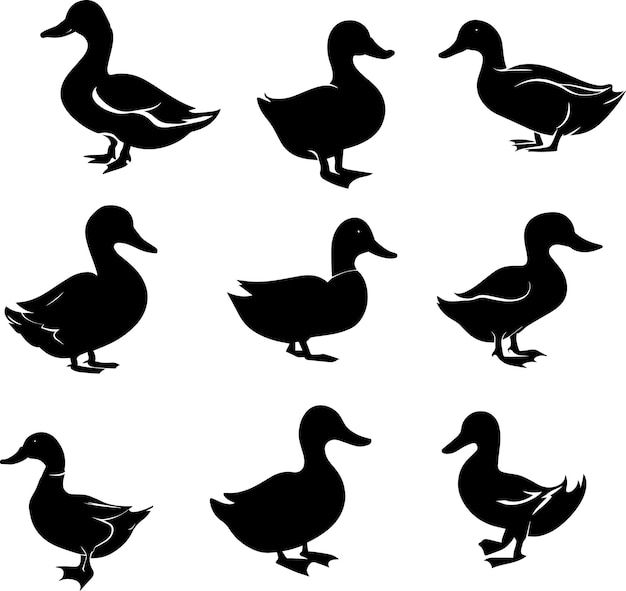 Silueta de vector de pato