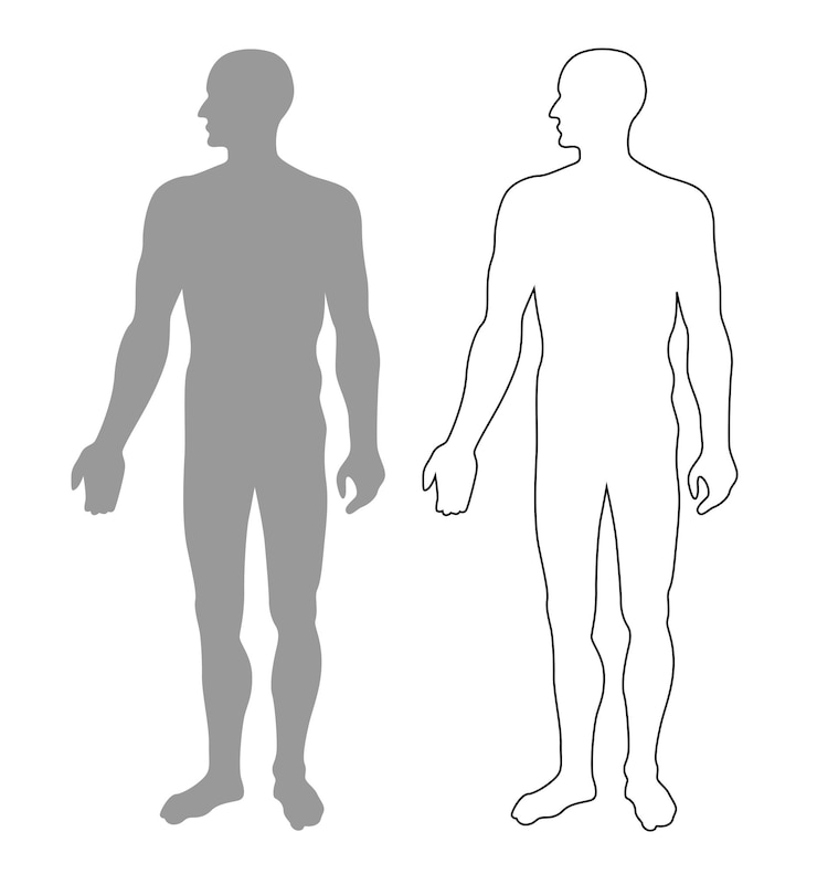 Vector silueta vectorial aislada básica hombre de pie anatomía contorno líneas negras ilustración vectorial
