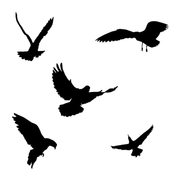 Silueta vectorial de aves voladoras vector aislado