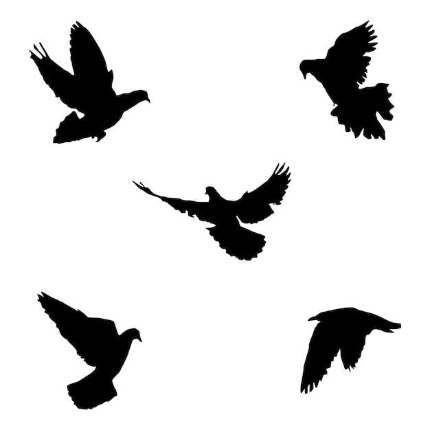 Silueta vectorial de aves voladoras vector aislado