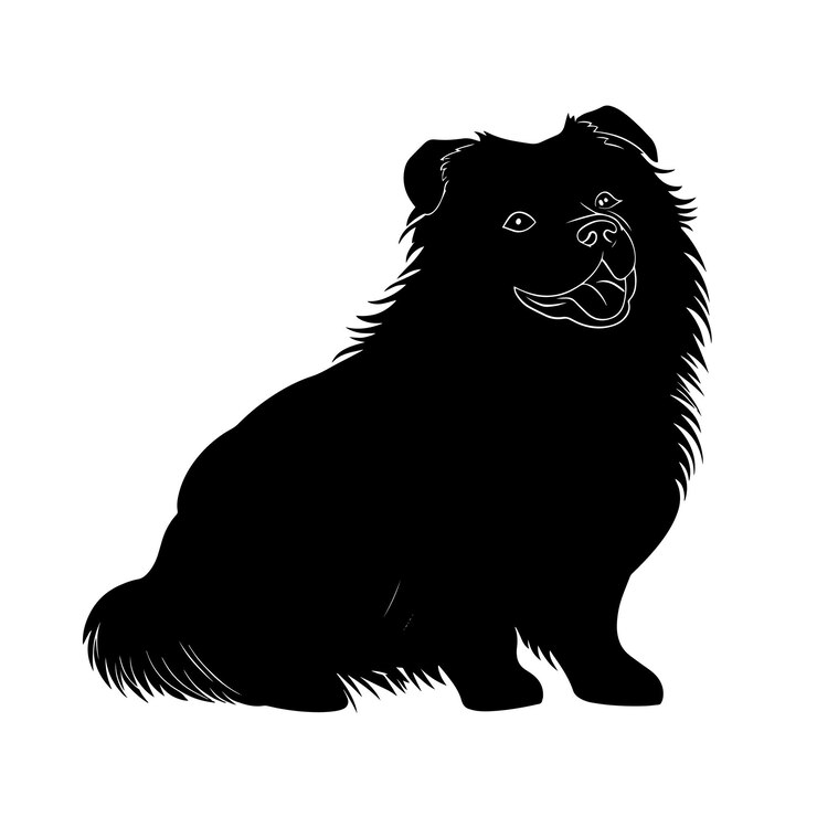 Vector silueta vectorial de un chow chow