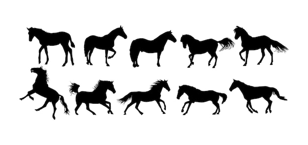 Silueta vectorial del contorno del caballo