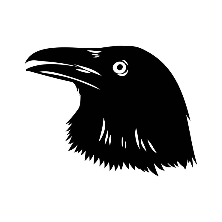 Vector silueta vectorial de cuervos sobre un fondo blanco