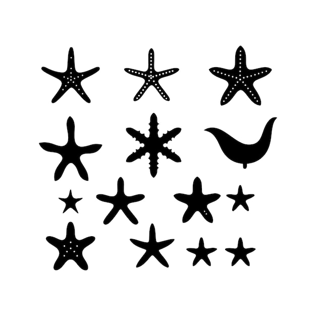 Silueta vectorial de estrellas de mar Conjunto de iconos de animales de estrellas del Atlántico e ilustración vectorial marina