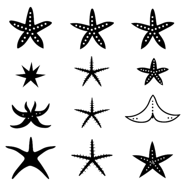 Silueta vectorial de estrellas de mar Conjunto de iconos de animales de estrellas del Atlántico e ilustración vectorial marina