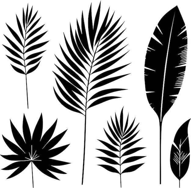 silueta vectorial de hojas tropicales mínimas silueta de color negro silueta de fondo blanco 4