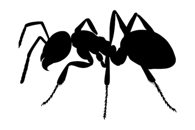 silueta vectorial de una hormiga
