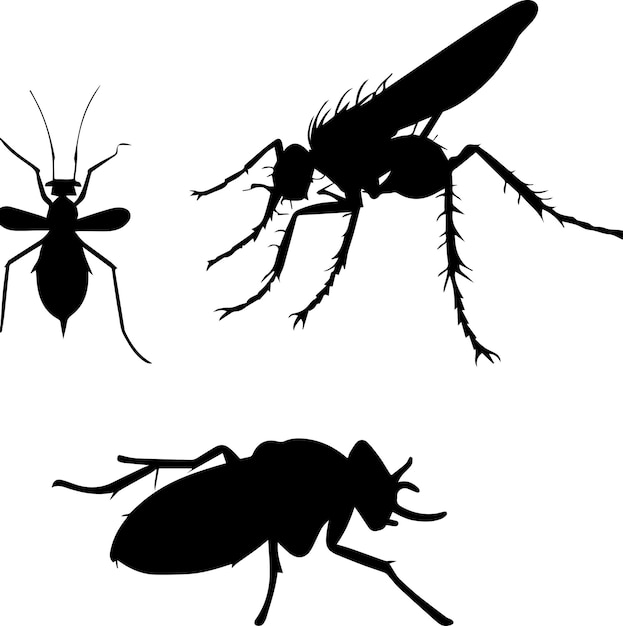 Silueta vectorial de insectos 3