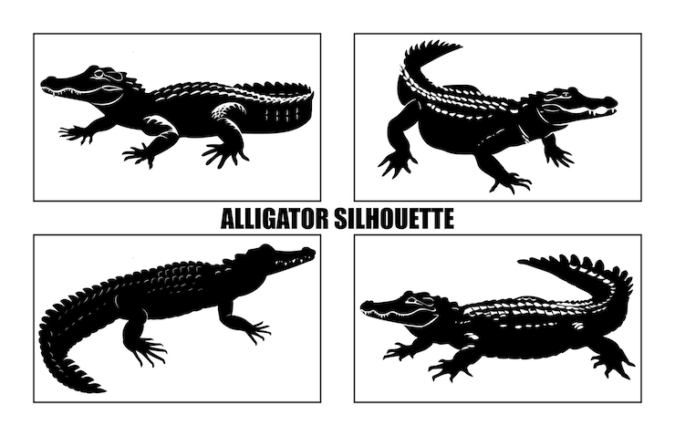 Vector silueta vectorial negra de cocodrilo sobre fondo blanco ilustración vectorial de cocodrilos animales silvestres