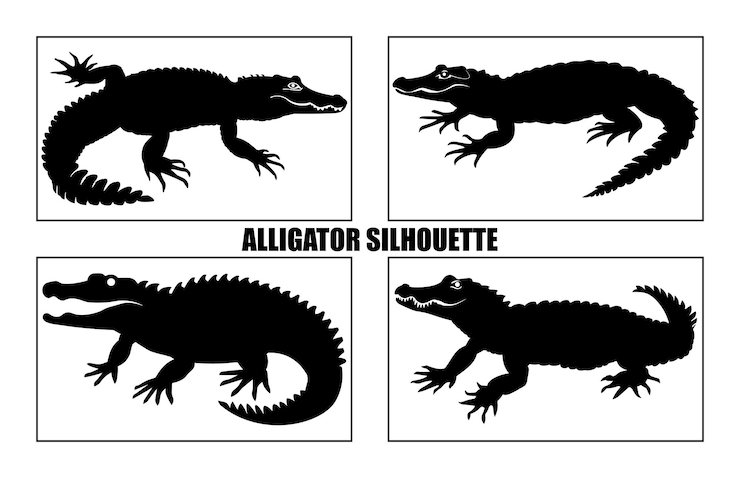 Vector silueta vectorial negra de cocodrilo sobre fondo blanco ilustración vectorial de cocodrilos animales silvestres