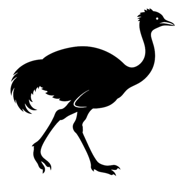 Silueta vectorial de pájaro Emu de color negro Silueta de fondo blanco 16