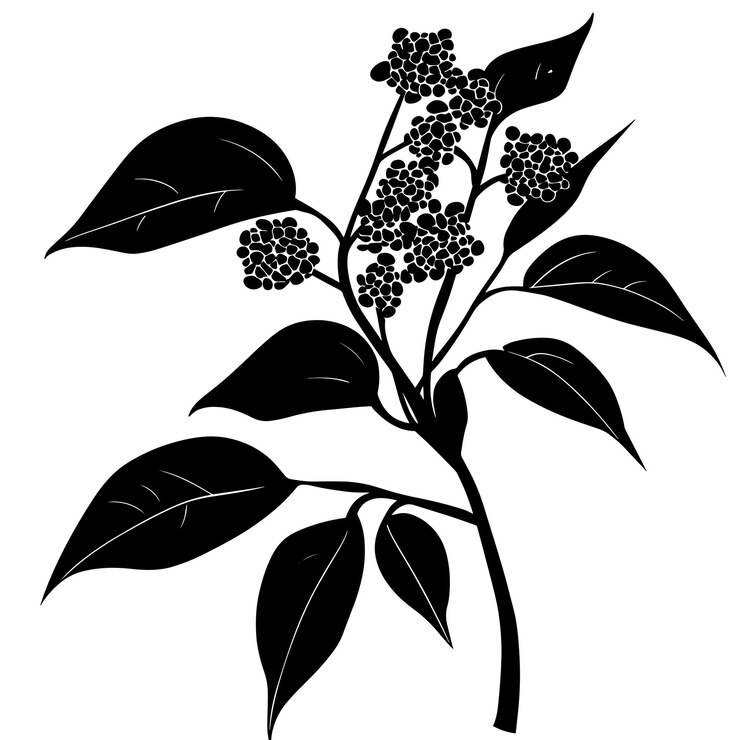 Vector silueta vectorial de un pimiento de montaña